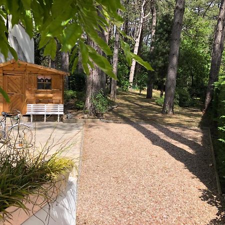 Maison Sapinettes Quend Bagian luar foto