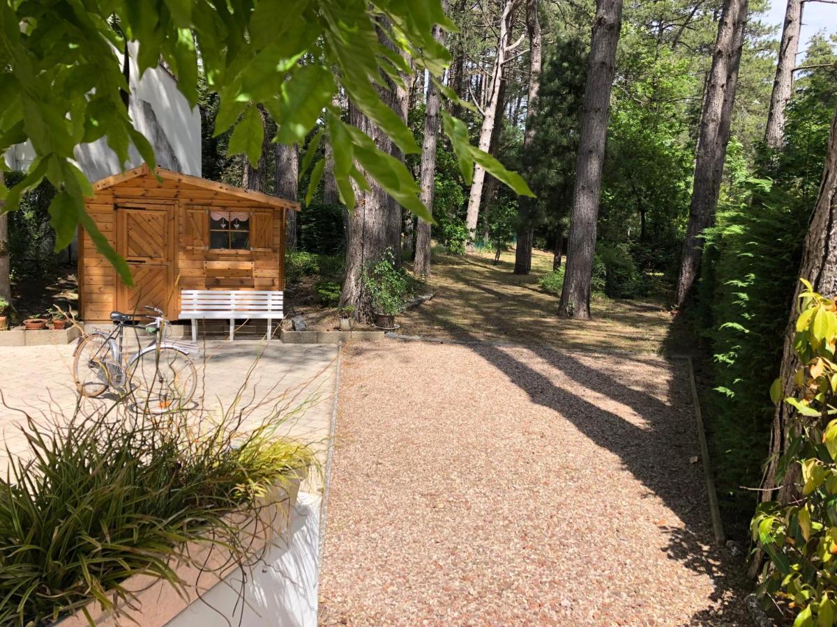 Maison Sapinettes Quend Bagian luar foto